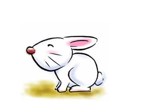 农历3月出生属兔人命好吗