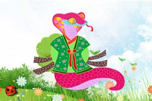 属蛇的佩戴什么生肖好