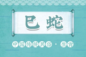 男属蛇佩戴什么最合适，戴什么可以招来财运