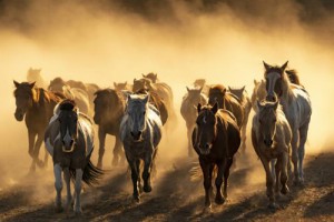 2002年属马一生有几次婚姻，一次或两次