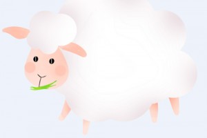 1979年属羊人的命中贵人，属羊人贵人缘如何？