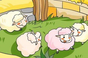 属羊的适合戴什么生肖，兔、猪、马