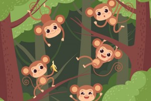 1980属猴人一生财运，整体财运起伏大