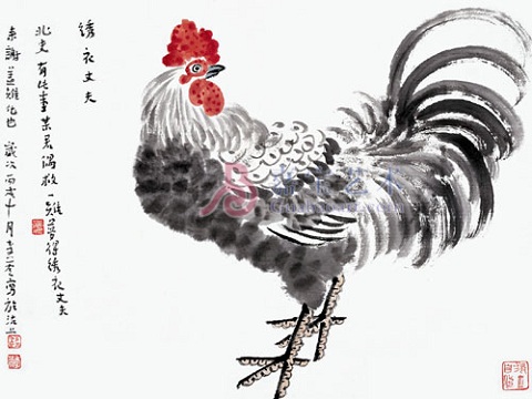 81年的鸡是什么命 81年的鸡和什么属相最配