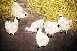 属鸡和什么生肖不合 兔、狗、鸡都不合