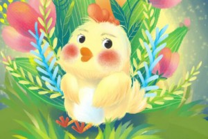 属鸡的几月出生最好，九月份最好运