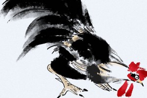 1981年属鸡会旺的数字,可带动财运吗