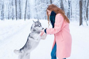 属狗五行属什么,运势如何