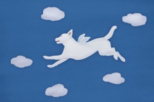 82年属狗未来5年大运,事业顺遂财运佳