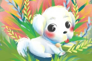 94年属狗戴什么招财旺运,属狗的旺运吉祥物是什么