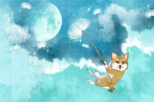 1982年属狗人会发横财吗,如何提升横财运