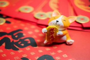 1982年属狗大器晚成,82年狗什么时候运气最好