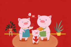 生肖属猪的女人旺夫吗,她们命运如何