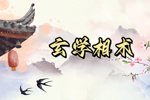 鼻子大的女人说明什么，详解女人鼻子大的命运