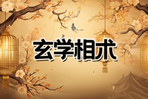 鹰钩鼻的女人命好吗,图解鹰钩鼻女人命运特点