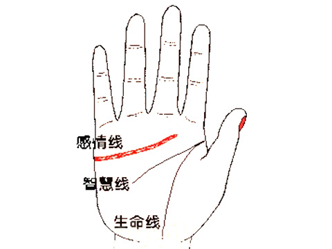手相智慧线图解大全