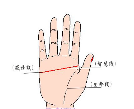 为什么女人断掌会克夫
