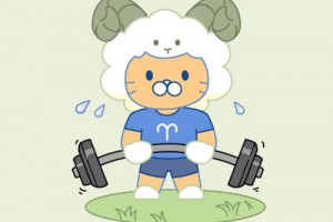 白羊女和哪个星座适合