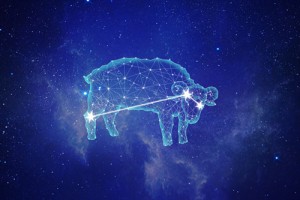 白羊男对喜欢的人凶说明什么