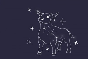 金牛女对你有意思的表现