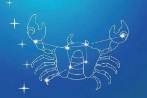 巨蟹座女生对待爱情的态度