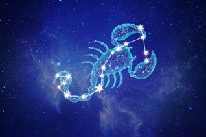 天蝎座男生花心吗