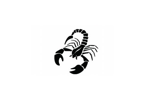 天蝎座女生想要什么样的爱情
