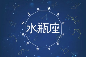 水瓶男和哪个星座适合