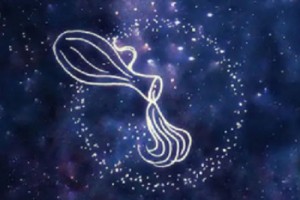 水瓶女对爱情的态度如何