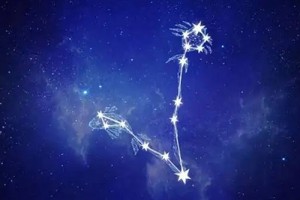 双鱼座女生暗恋你的征兆