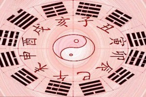 亥时出生的人命运解析