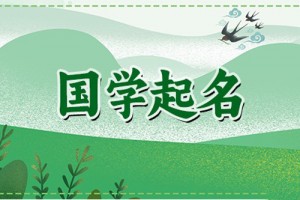 鼠年腊月宝宝起名吉利的,鼠宝宝取名大全