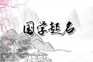 高贵大气的男孩名字,男孩子什么名字比较大气