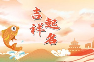 属猪的男孩取名字大全,属猪男孩这样取名最好