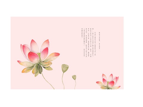 有诗意的网名女生