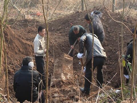 复三上坟是什么意思 复三上坟有什么讲究