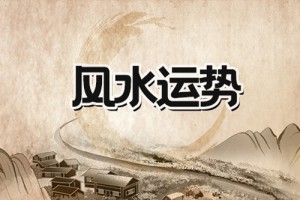 五行属金的生肖适合养哪种风水鱼
