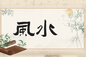 钛晶和发晶哪个功效好 发晶和钛晶的区别