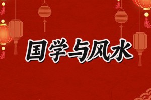 五行属土的生肖适合养哪种风水鱼