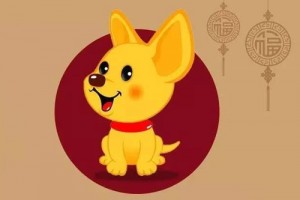 属狗今年几岁 2027年属狗年龄对照表完整版