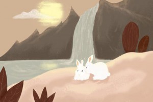 属兔是哪一年出生的 属兔是出生年份查询
