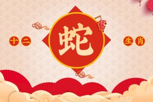 属蛇今年多大 属蛇年龄对照表2027