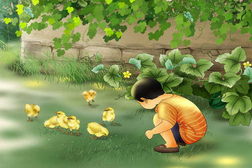 属鸡本命年忌讳什么 属鸡本命年十大禁忌千万别犯