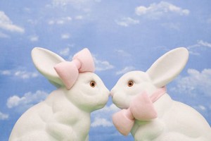 属兔本命年怎么化解 属兔本命年化解方法大全