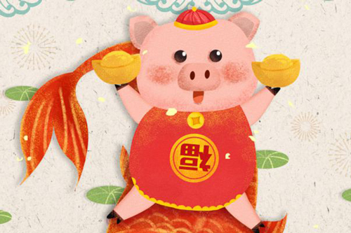 属猪本命年有什么讲究 属猪本命年的讲究与禁忌