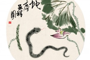 属蛇的人性格怎么样 属蛇人的性格好不好相处