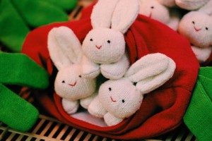 属兔人的缺点有哪些 属兔人的缺点和不足之处盘点