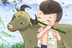 属牛的人好不好 属牛人的评价和口碑怎么样