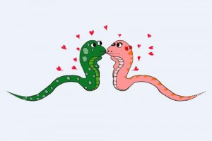 属蛇的性格分析 属蛇人性格深度解析